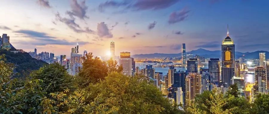 香港為何成研究生留學(xué)熱門地？就業(yè)無(wú)憂的五大頂尖專業(yè)深度剖析